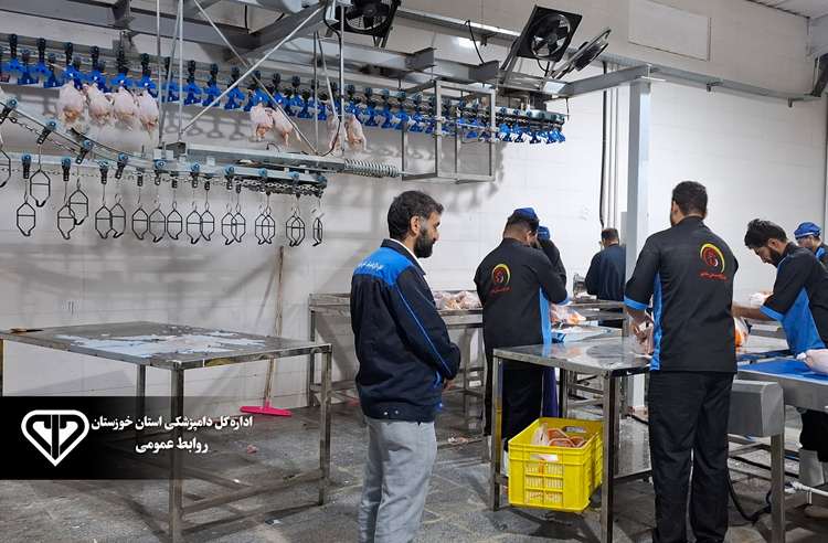 دهه فجر، فصل جهش زیرساخت‌های بهداشتی دامپزشکی؛ یازدهمین کشتارگاه صنعتی طیور خوزستان در اهواز آغاز به کار کرد.